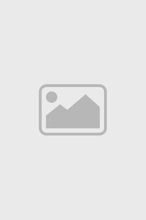 《犯罪都市4【影视解说】》宣传海报